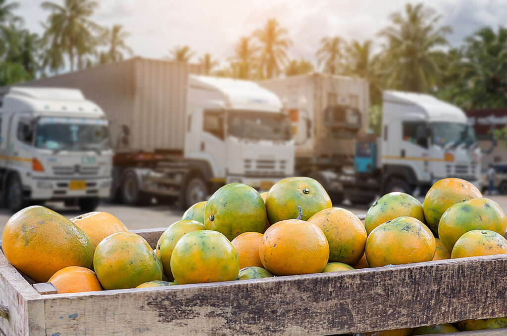 a pallet of mangoes in front of temperature-controlled vehicles